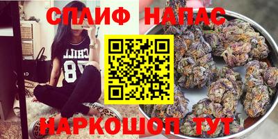 сатива Партизанск