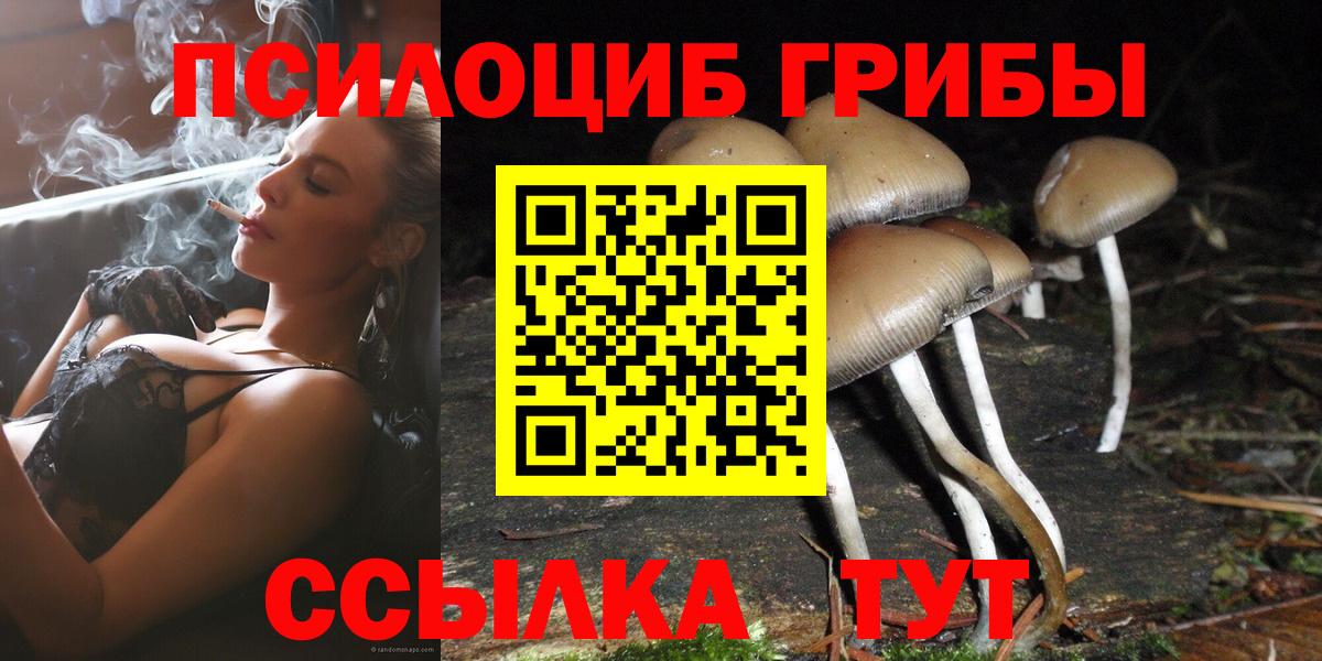 Галлюциногенные грибы GOLDEN TEACHER Санкт-Петербург